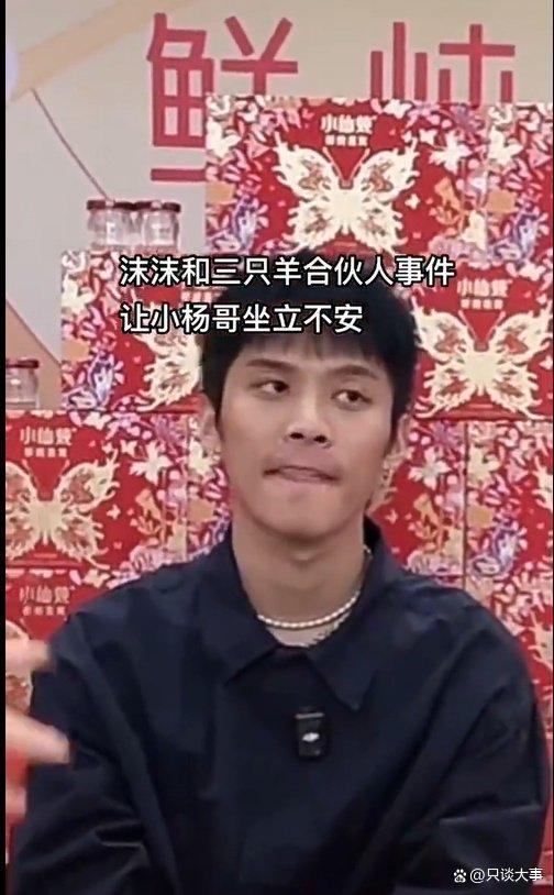 辛巴和三只羊最新爆料,揭秘背后惊人真相！