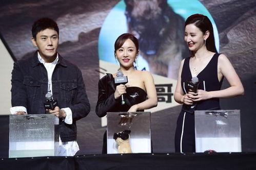 娱乐圈最新新闻爆料是真的吗,真相还是谣言？